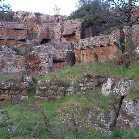 Forum Cassii Vetralla Εξωτερικό φωτογραφία